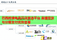 巴西跨境電商開店首選平臺 直播帶貨與分期支付優勢顯著