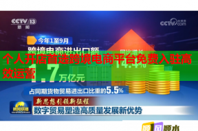 個(gè)人開店首選跨境電商平臺(tái)免費(fèi)入駐高效運(yùn)營(yíng)