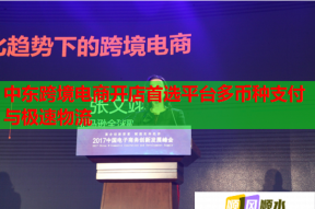 中東跨境電商開店首選平臺(tái)多幣種支付與極速物流