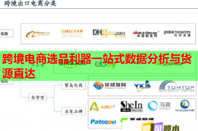 跨境電商選品利器一站式數(shù)據(jù)分析與貨源直達(dá)