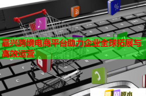 嘉興跨境電商平臺助力企業(yè)全球拓展與高效運營