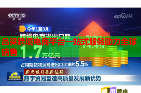 呂梁跨境電商平臺(tái)一站式服務(wù)助力全球銷售