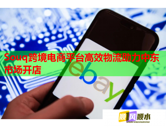 Souq跨境電商平臺高效物流助力中東市場開店  第2張