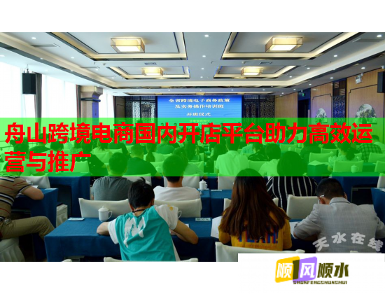 舟山跨境電商國內開店平臺助力高效運營與推廣  第2張