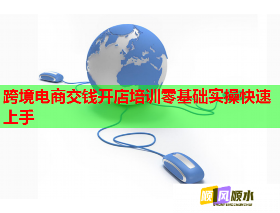 跨境電商交錢開店培訓零基礎實操快速上手  第1張